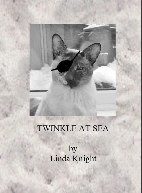 Twinkle at Sea Cover